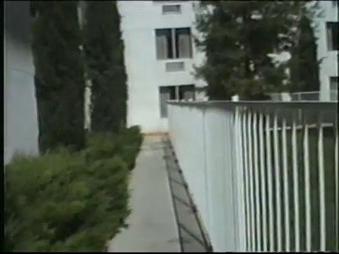 Pool deck original VHS-era still